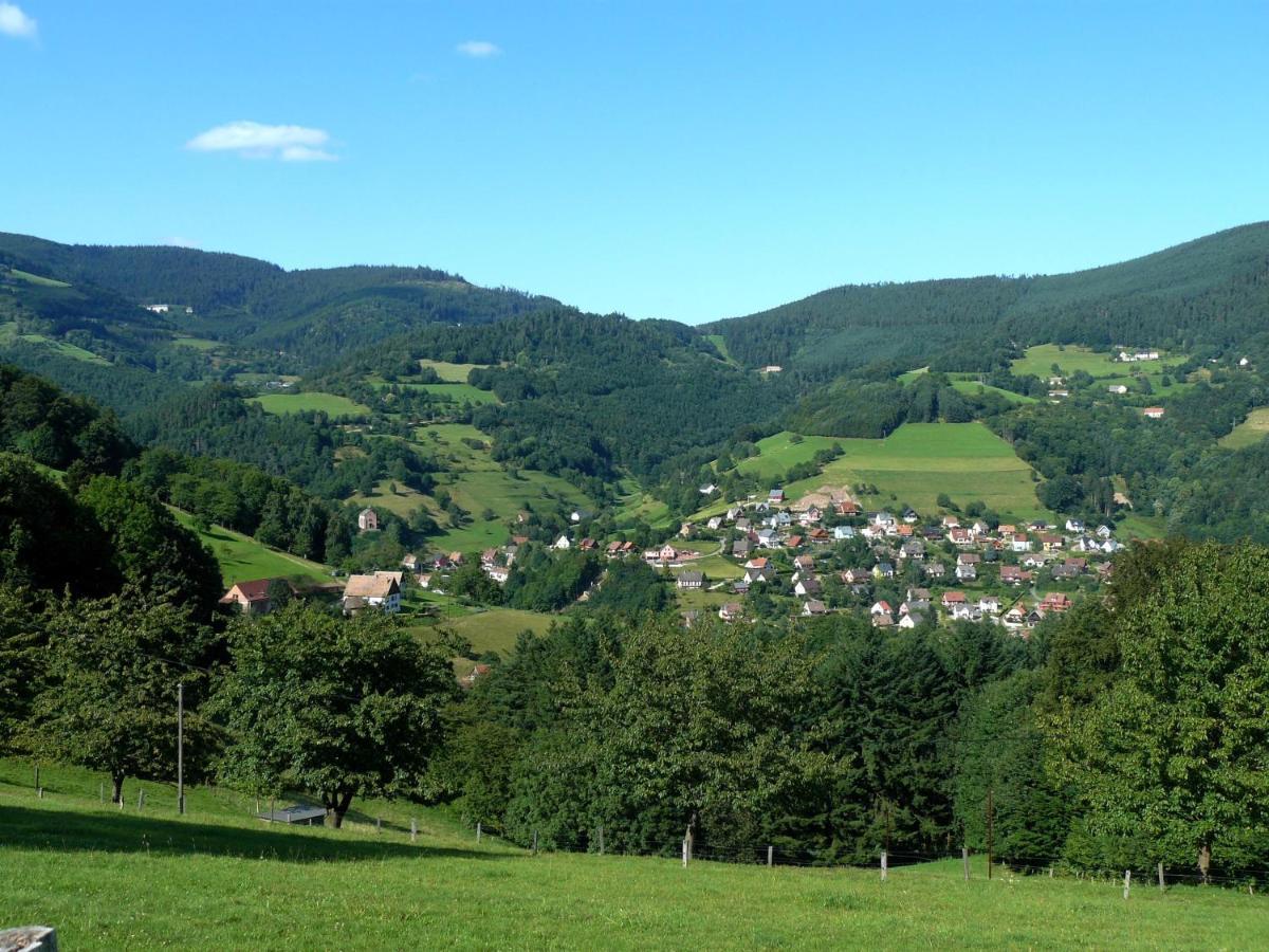 Chalet De Fréland Pokój zdjęcie